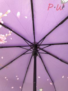 2008 Зонт от дождя UNIQUE