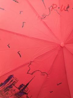 2047 Зонт от дождя UNIQUE