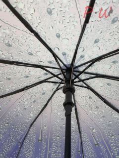 2050 Зонт от дождя UNIQUE (дождь)