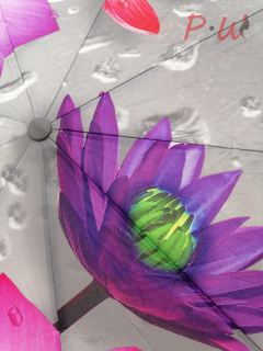 6109 Зонт от дождя AMICO (цветы)