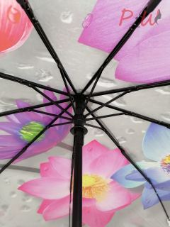 6109 Зонт от дождя AMICO (цветы)
