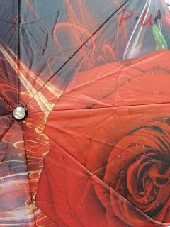 1723 Зонт от дождя DAIS UMBRELLA (розы)