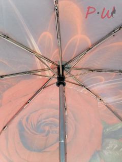 1723 Зонт от дождя DAIS UMBRELLA (розы)