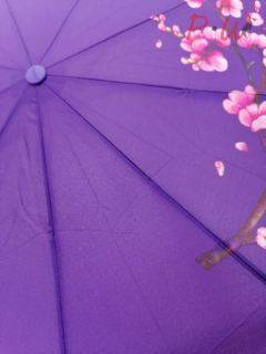 2009 Зонт от дождя UNIQUE (сакура)