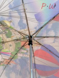 1722 Зонт от дождя DAIS UMBRELLA (город)