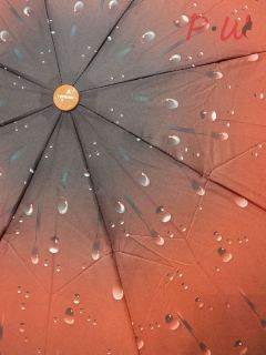 2056 Зонт от дождя Toprain (капля)