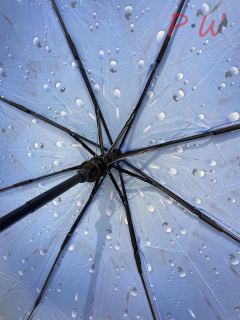 2056 Зонт от дождя Toprain (капля)