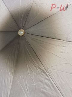 2053 Зонт от дождя Toprain