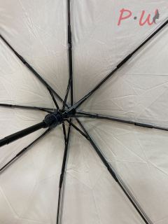 2053 Зонт от дождя Toprain