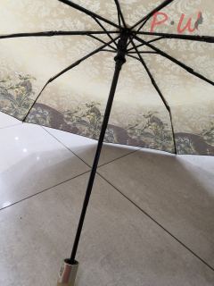 2320 Зонт от дождя ZICCO
