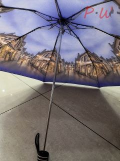 2042 Зонт от дождя UNIQUE (город)