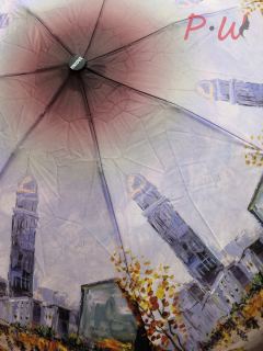 2042 Зонт от дождя UNIQUE (город)