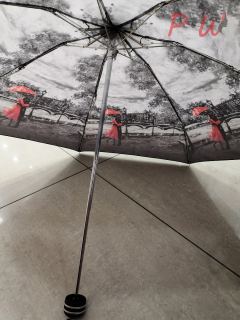 2042 Зонт от дождя UNIQUE (город)