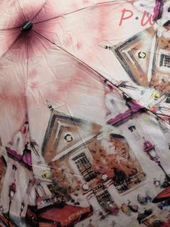 2042 Зонт от дождя UNIQUE (город)