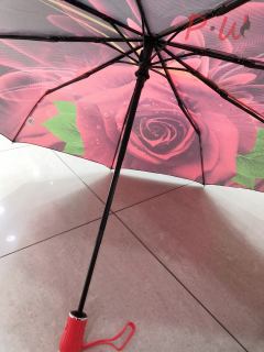 LAN931 Зонт от дождя LANTANA