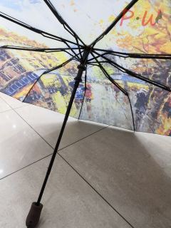 510 Зонт от дождя AMORE (страны)