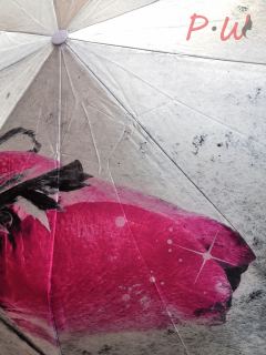 3010 Зонт от дождя ROBIN