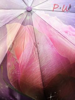 3010 Зонт от дождя ROBIN