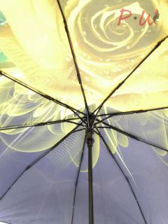 2382 Зонт от дождя Zicco