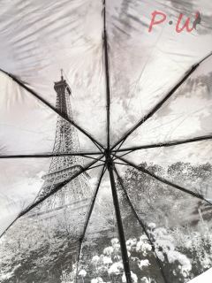 828 Зонт от дождя Diniya